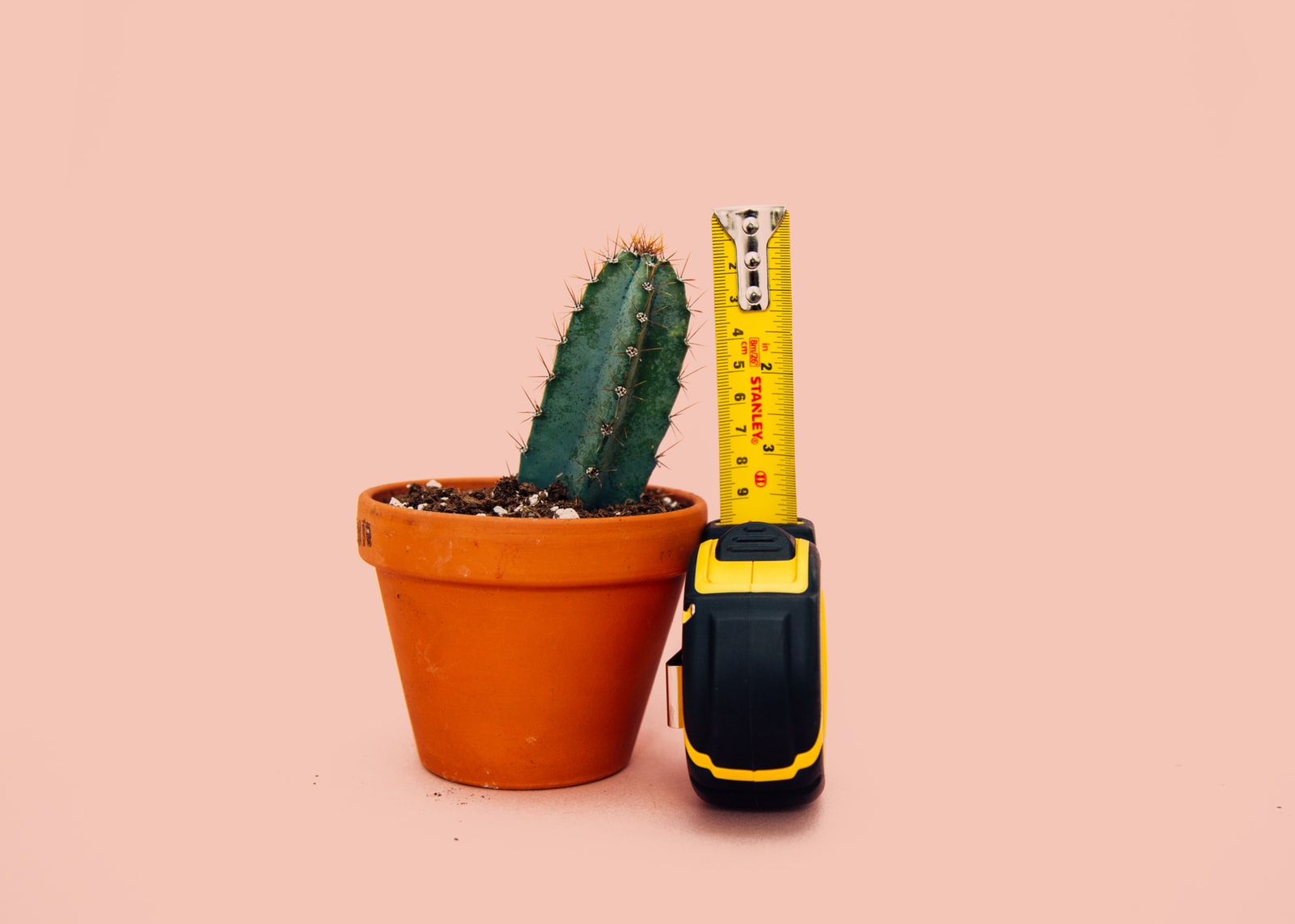 Kleiner Kaktus mit Maßband