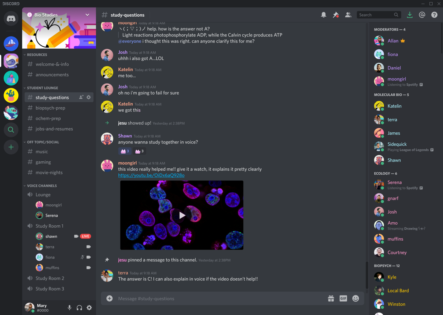 discord server