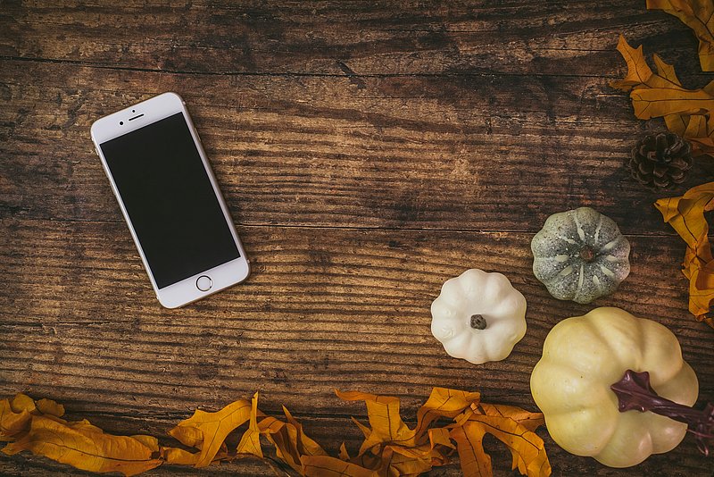 Handy auf einem Brett neben kleinen Kürbissen