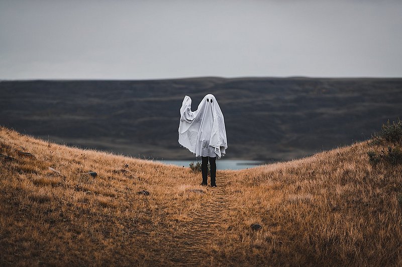 geist in der wildniss