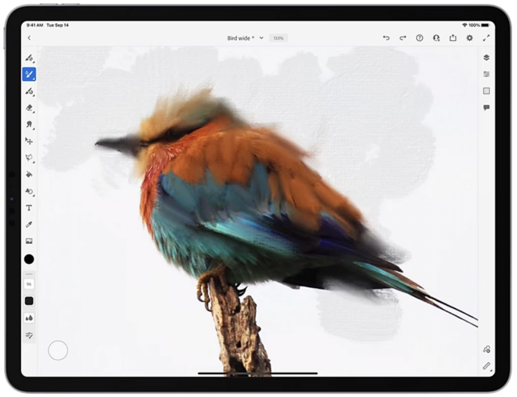 Screenshot von der Webseite von Adobe Fresco