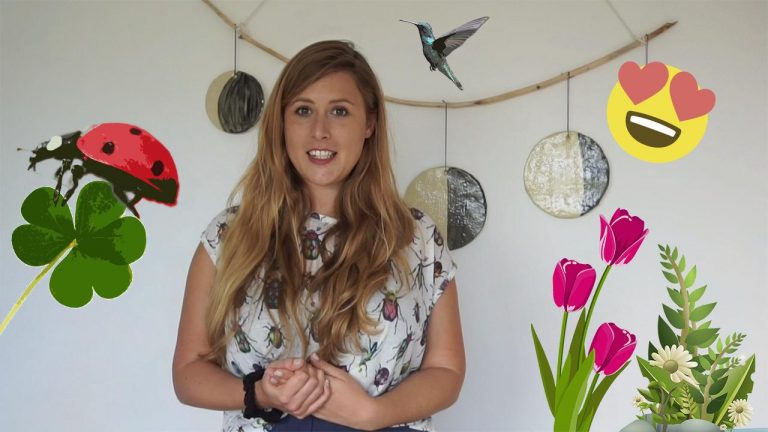 Frühlings-Apps Video Vorschau